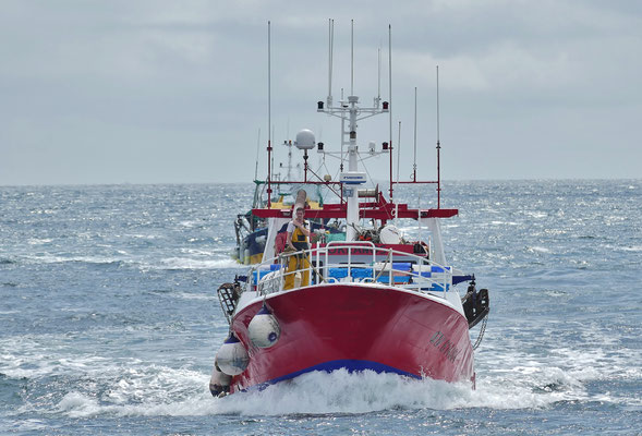 Ankunft der Fischerboote im Hafen von Le Guilvinec