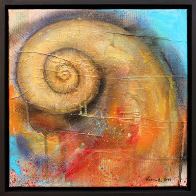 Karin Angerer | Muschel | 30 x 30 cm | Acrylic on canvas with a wooden frame | 2017 | b294