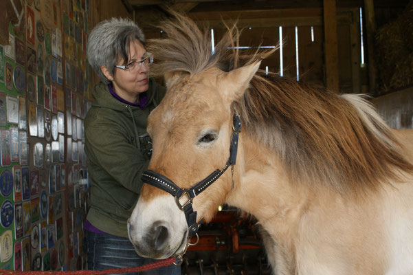 das 23jährige Pony hat in seiner Vergangenheit nicht nur gute Dinge erfahren