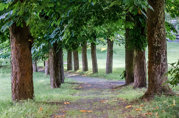 Marienbad ist von viel Grün umgeben