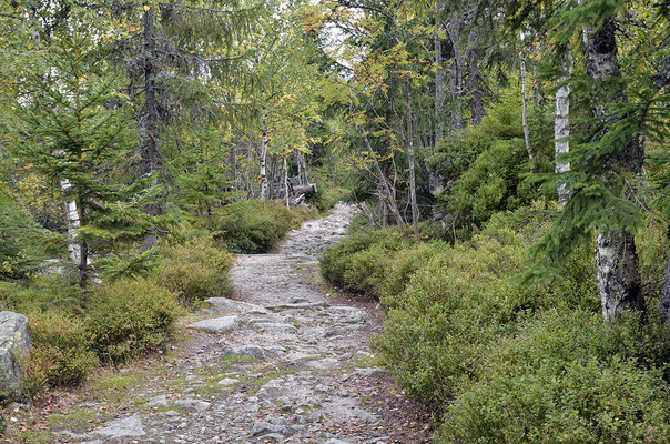 Weg durch das "Steinerne Meer" am Plöckensteinsee