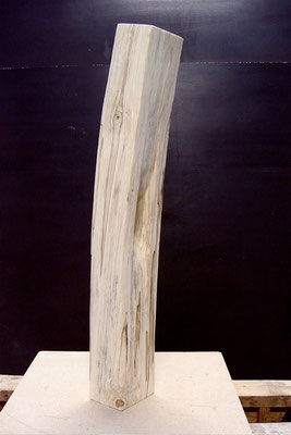 Neigung  Inclination, Birke birch, 2009