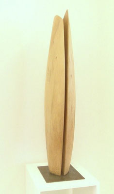 Erdflügel Earth wings, wood 2008