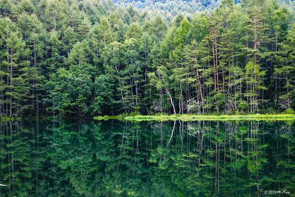 御斜鹿池の水鏡