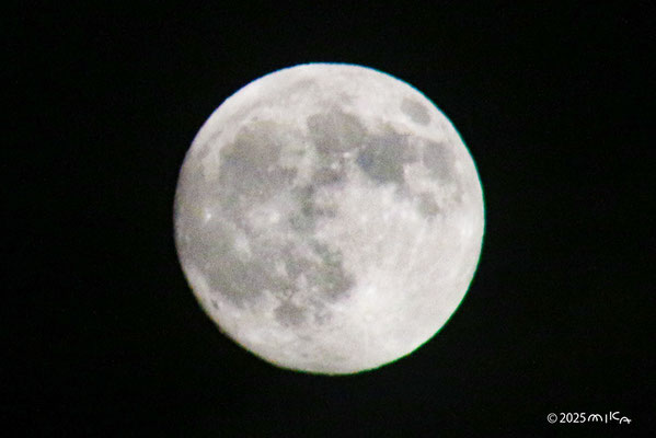 十五夜2025年10月6日