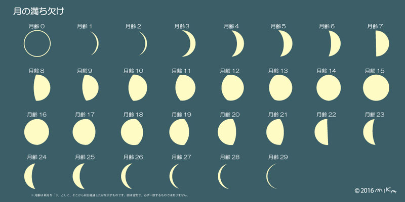 月 Moon 工房momo 月 Moon 工房momo