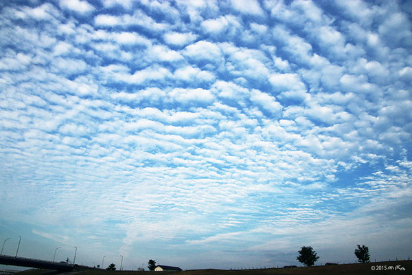 さば雲（いわし雲）日中