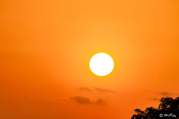 夕日（和歌山）