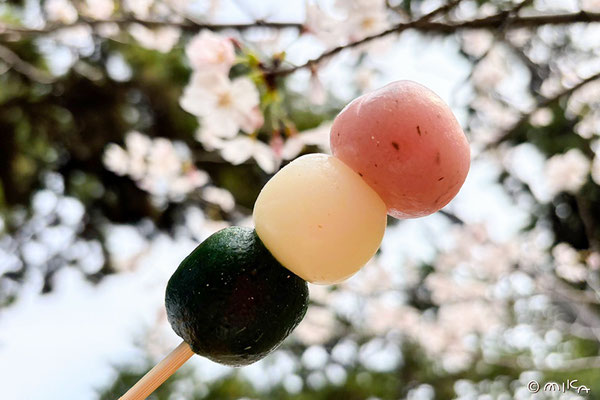花よりだんご（桜と三色団子）