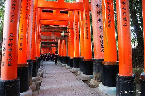 千本鳥居⑤（伏見稲荷大社）