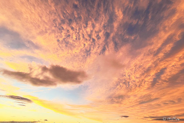 台風の晴れ間の夕焼け