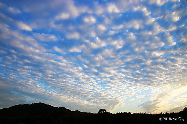 さば雲