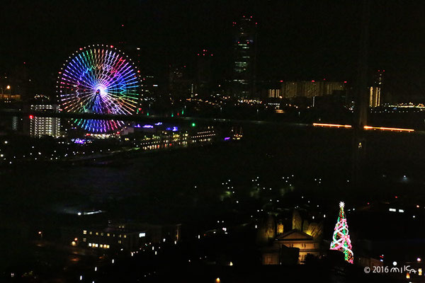 世界一の光のツリーと海遊館の夜景