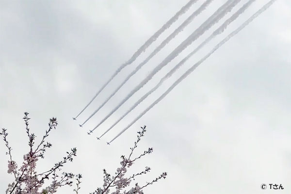 ブルーインパルス④（大阪関西万博 予行飛行）大阪府Tさん写真提供