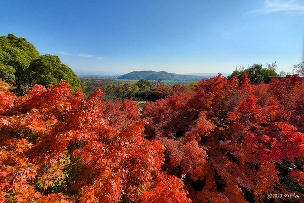 天王山の紅葉