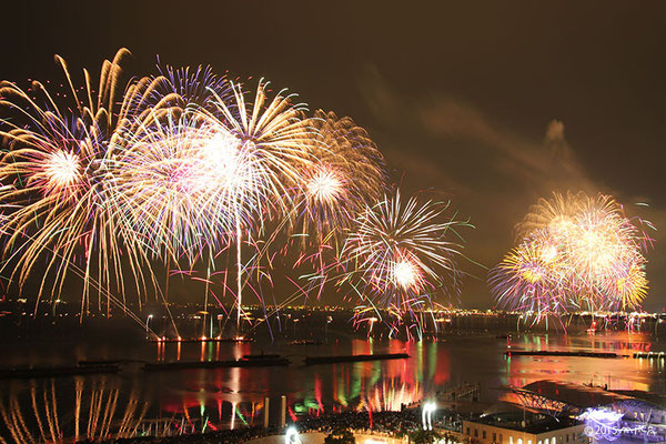 菊花（2015びわ湖大花火大会）