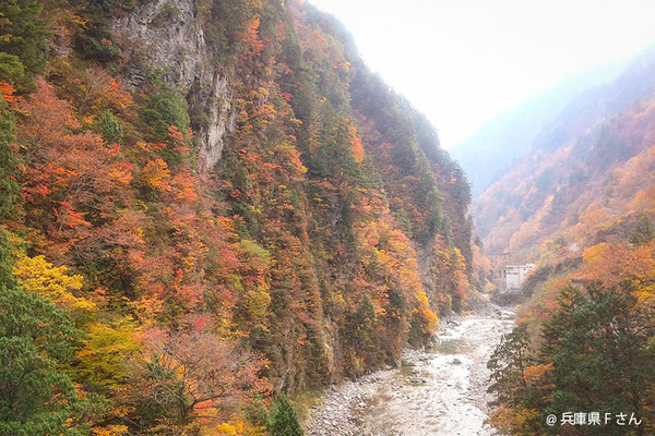 黒部峡谷の紅葉（兵庫県Fさん）