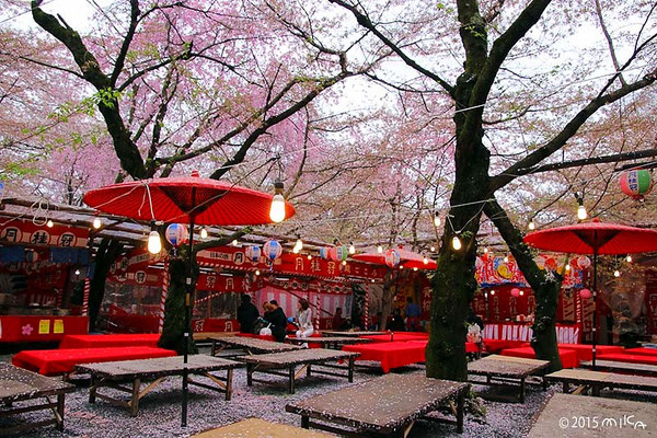 平野神社の屋台