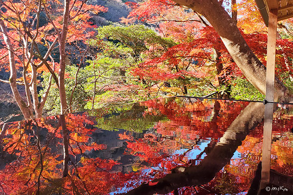 嵐山祐斎亭の水鏡