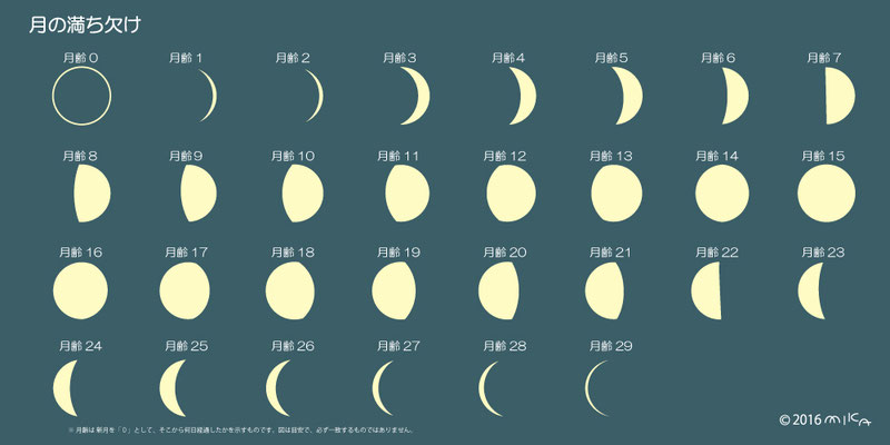 月齢（月の満ち欠け）②