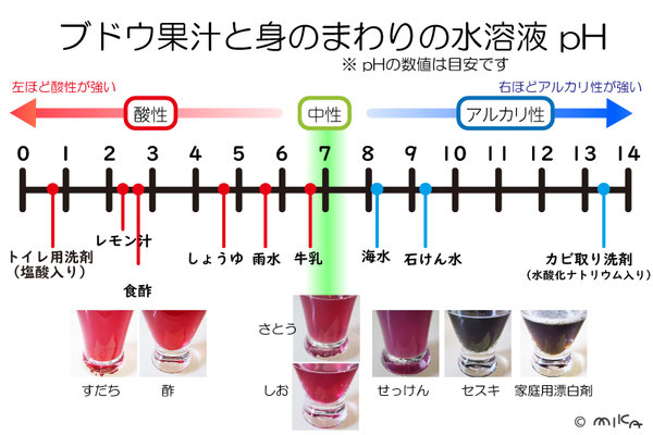 ブドウ果汁で身の回りの水溶液の実験