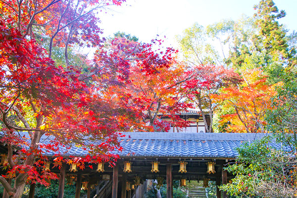 勢至堂（光明寺）