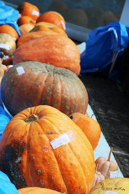 ハロウィーン用のかぼちゃ