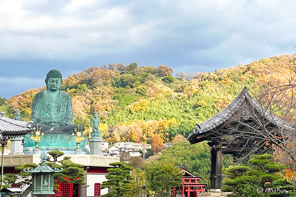 極楽寺の大仏様と鐘楼（大阪府河内長野市）