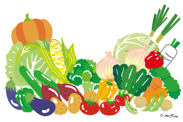 野菜たくさん