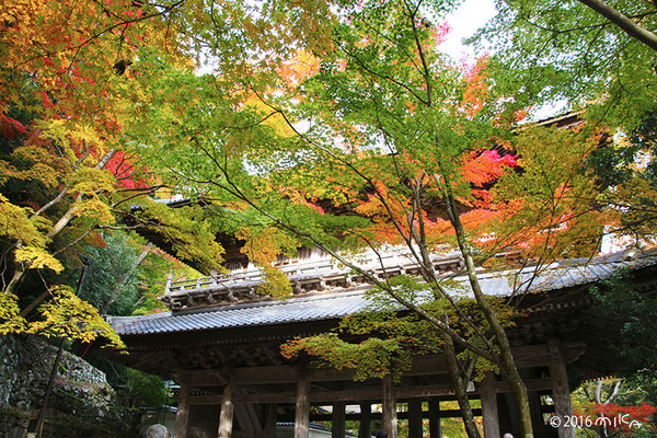 永源寺の山門（滋賀県）