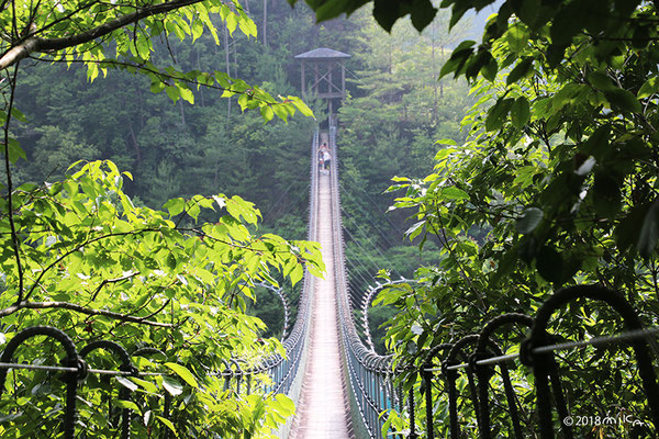 黒滝村の吊り橋