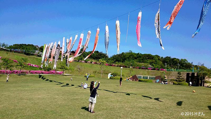 こいのぼりを眺める親子（ウェルネスパーク五色）兵庫県Hさん