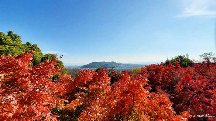 大山崎山荘美術館テラスより雄大な景色②