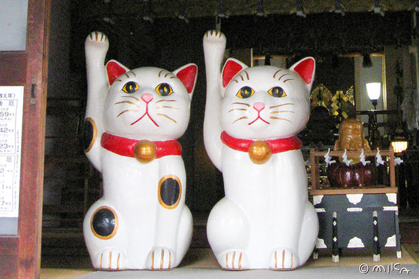 今戸神社の招き猫