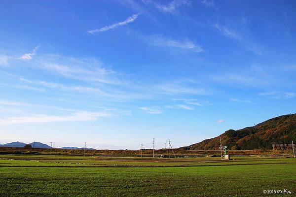 11月末頃の田畑（亀岡）