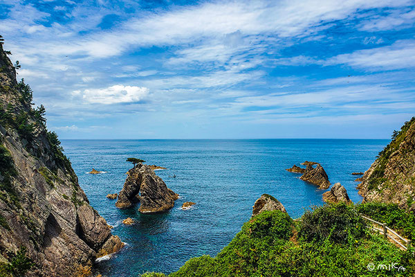 千貫松島の景色（山陰海岸ジオパーク）