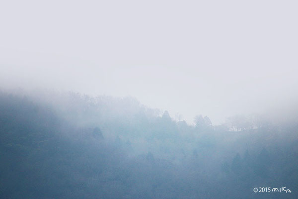 霧雨の山（能勢／穀雨の頃）