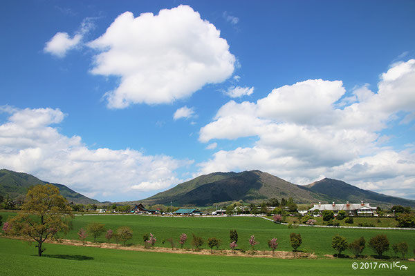 蒜山高原①