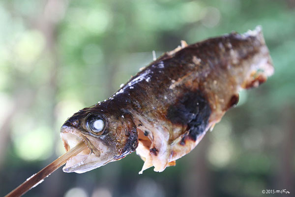 マスの塩焼き