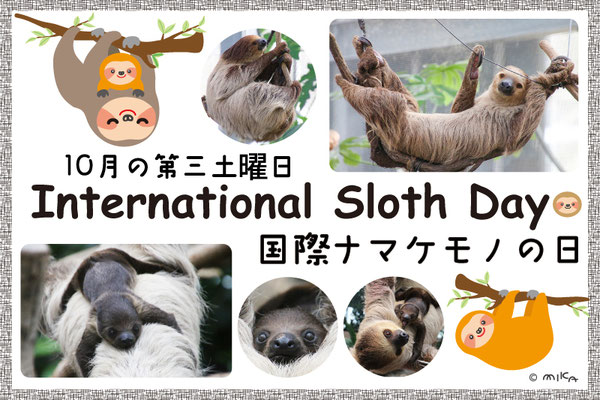 国際ナマケモノの日