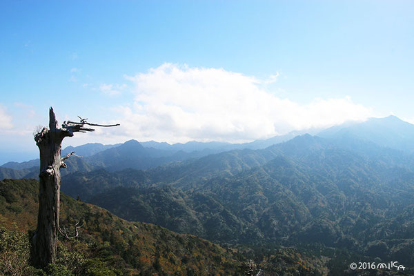 太鼓岩（屋久島）