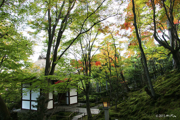 仁王門（常寂光寺）