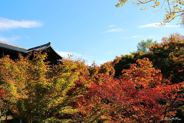 東福寺 庭から通天橋を眺める