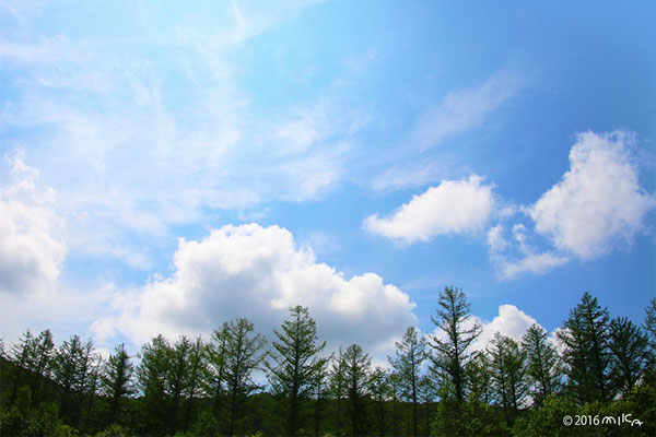 空と雲