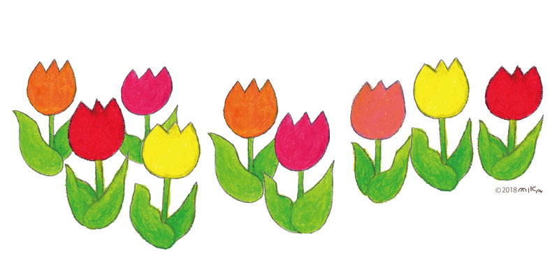 並んで咲くチューリップの花（クレパス）