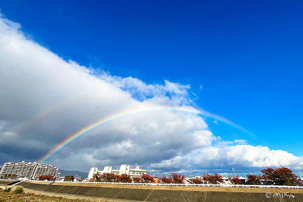 晩秋の虹 2024年11月18日15時頃