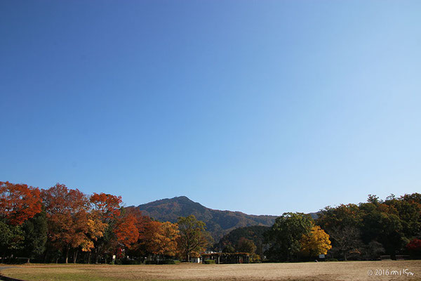 宝ヶ池公園の広い公園