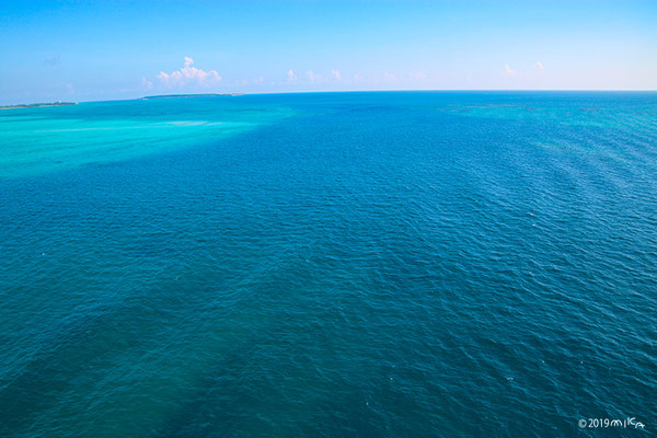 青く広がる海