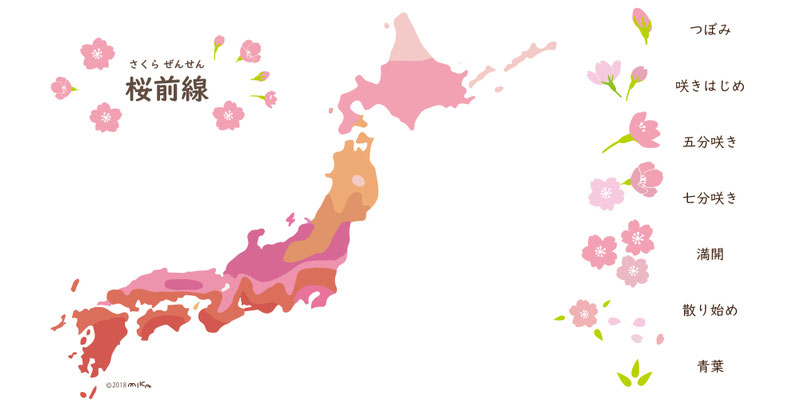 桜前線と桜の開花予想