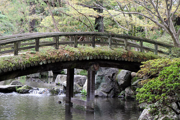 御池庭